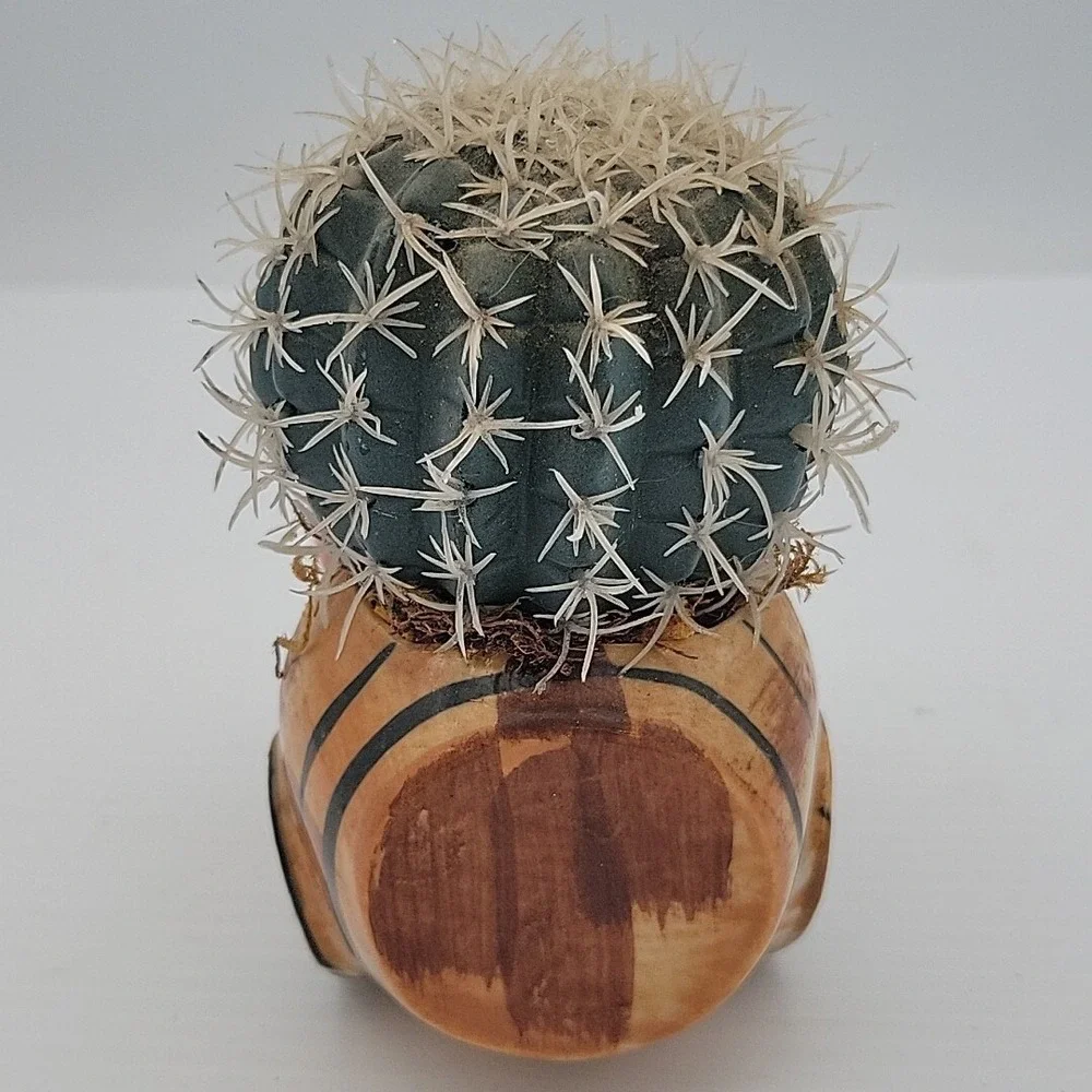 MINI FAKE FAUX PLANT POTS. CACTUS PLANTERS. Vintage Man Pulling Wagon